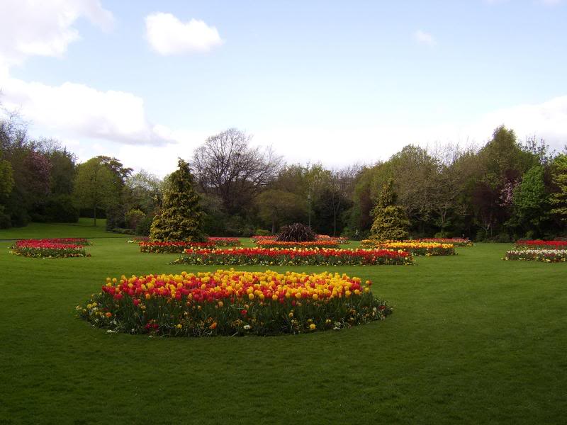 Merrion Square, in bloom