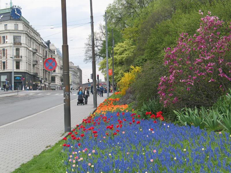 Norway - Oslo - Spring - Royal Palace Gardens - Henrik ...