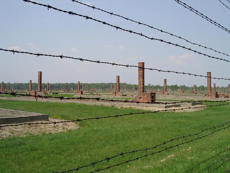 Birkenau Barracks Ruins