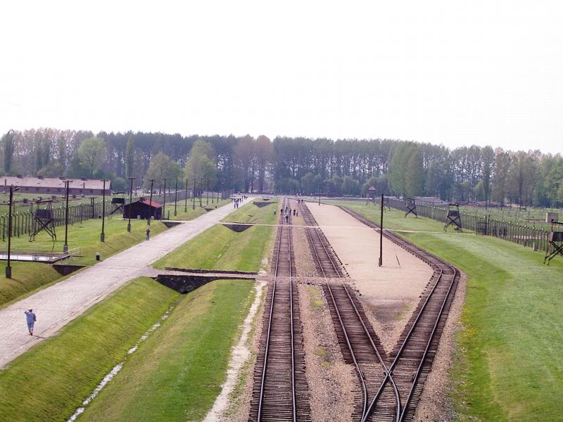 Birkenau Selection Area