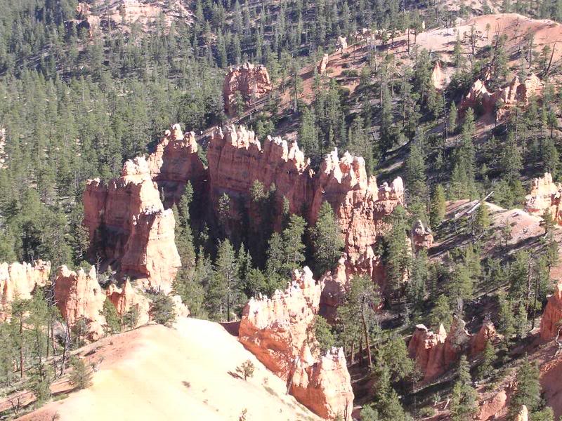 Bryce National Park