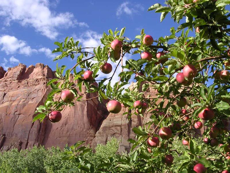 Canyonlands National Park