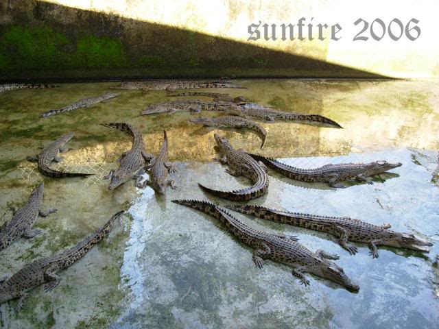 We r good in numbers