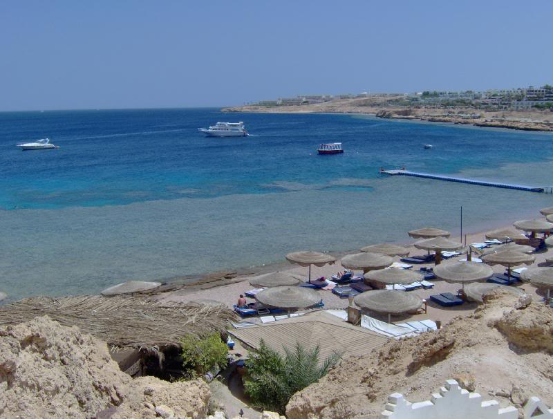 Sharks Bay general view