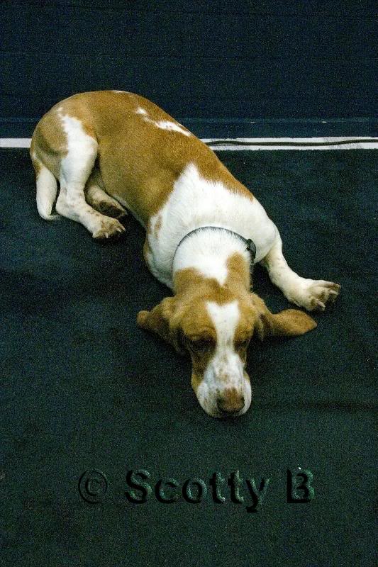 Flash III - she's the granddaughter of the original Fla...