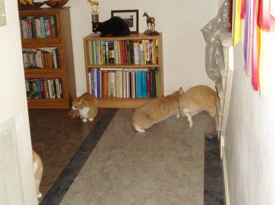 It's coming! Run for it!