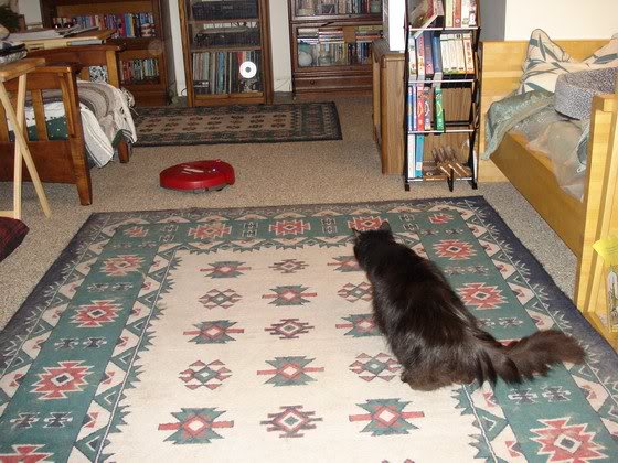 Sophie studies the Roomba monster