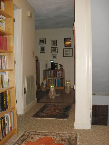 We ain't going near that thing!