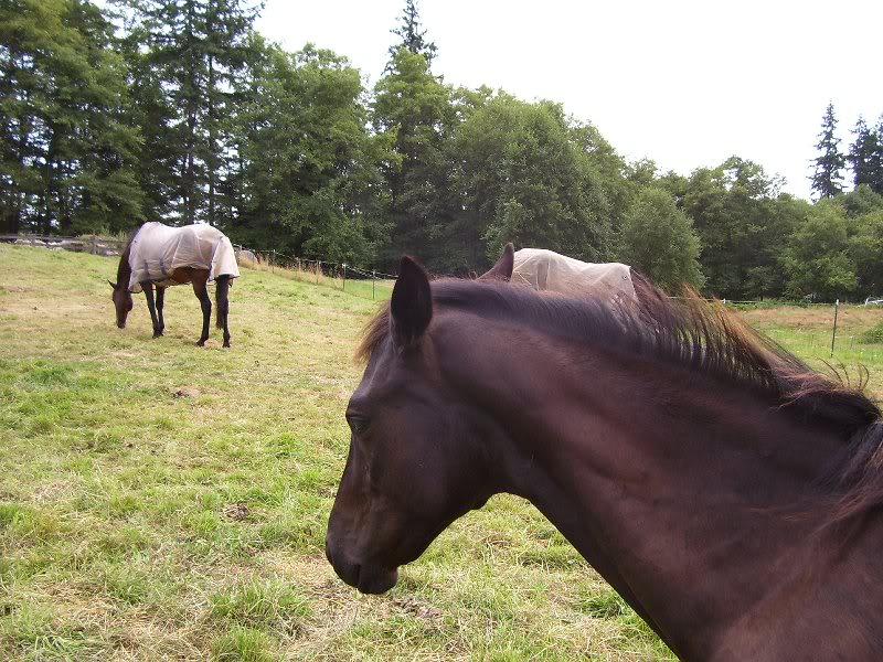 out with his "uncles"