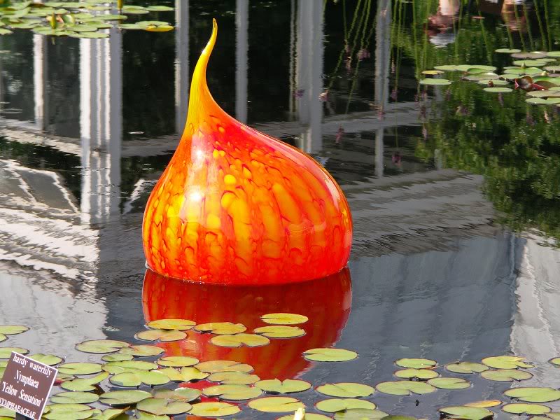 Orange glass onion