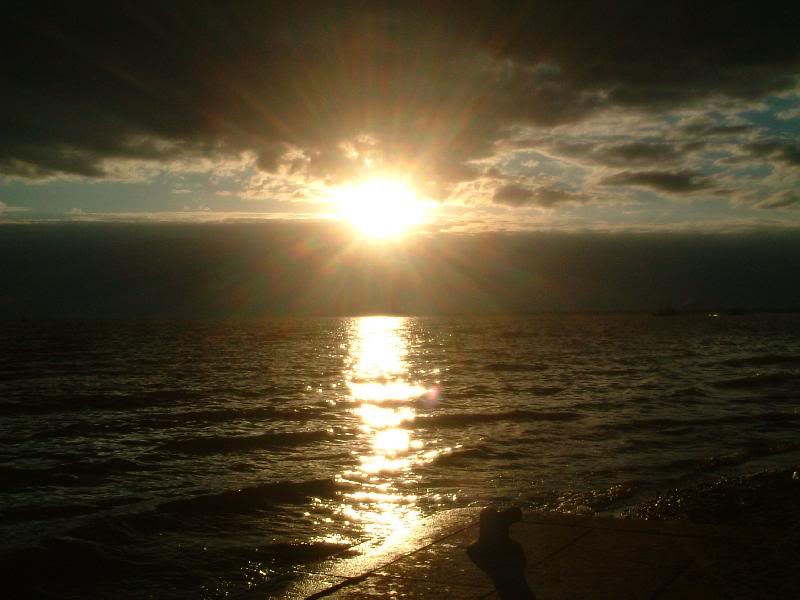 �i������