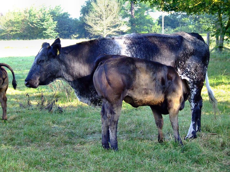 They're all at it now!