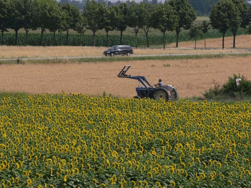 P1020082 - tractor and car