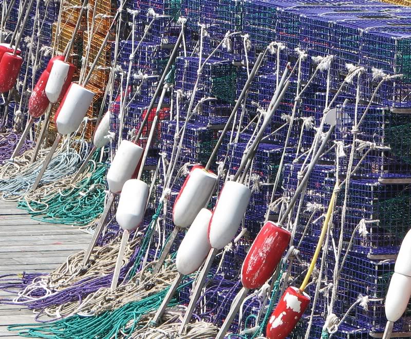 Lobster Bouys & Traps