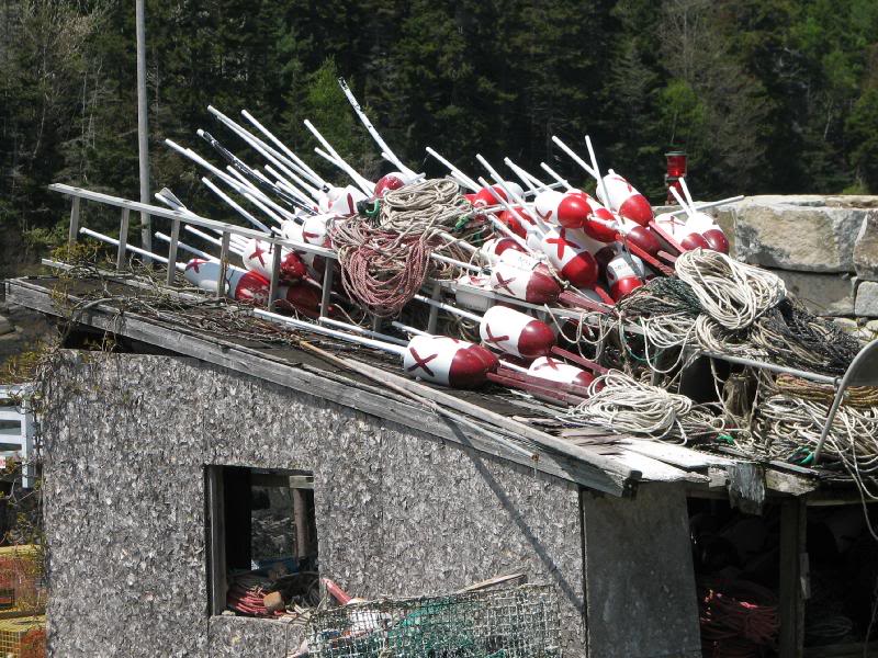 Lobster Bouys on shack