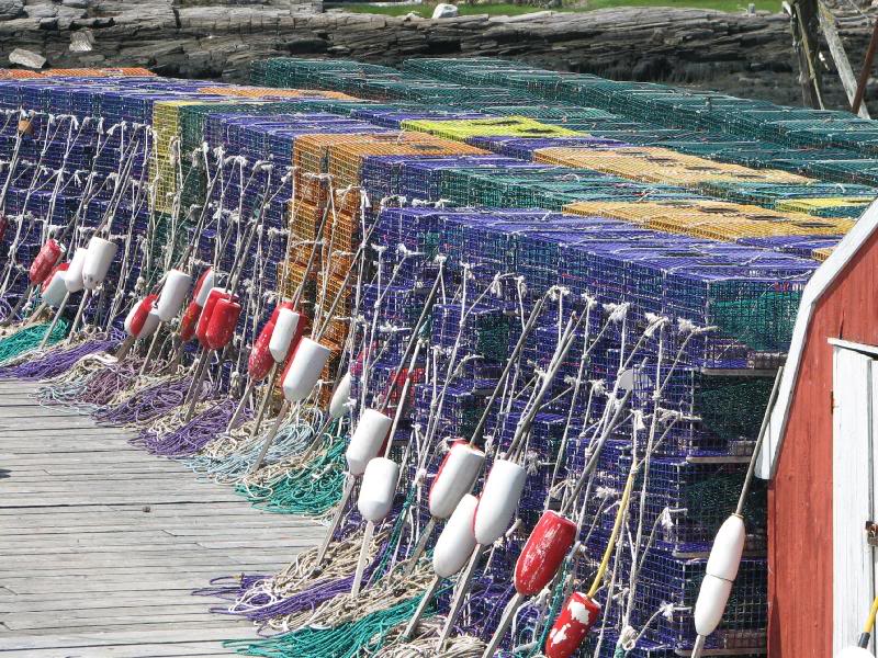 Lobster traps and bouys