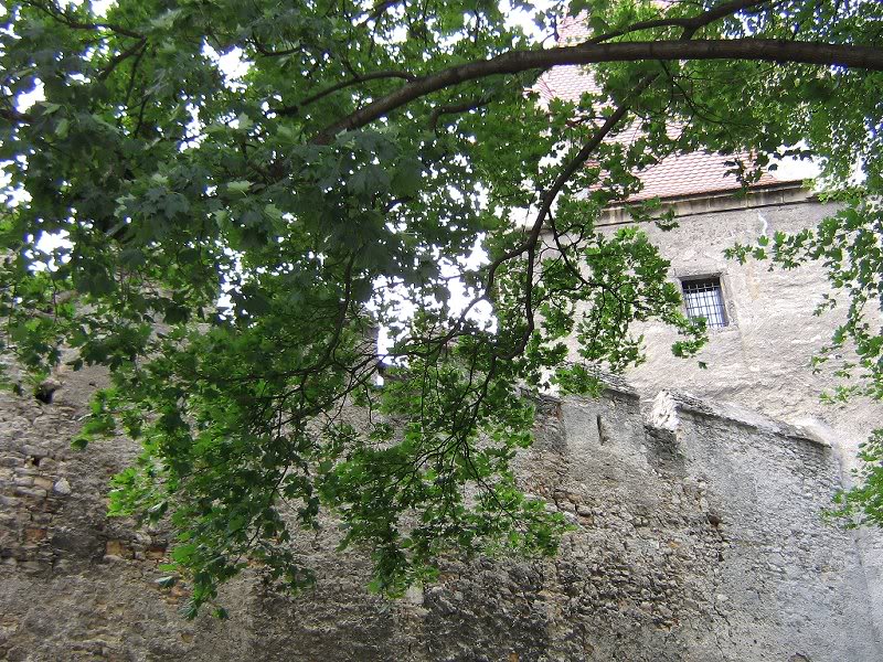 3- part of old city wall