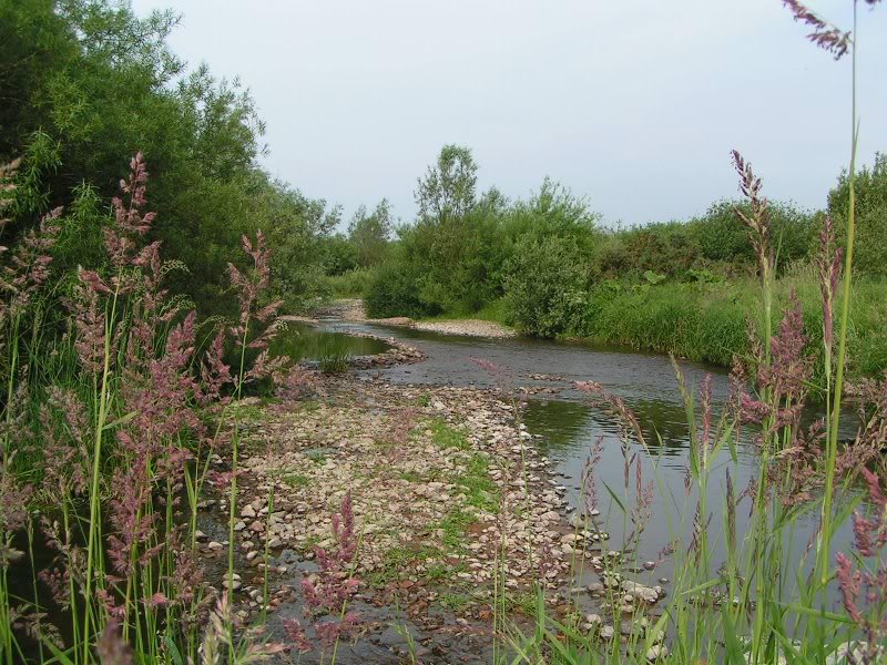 A haven of peace for our daily early morning walk.