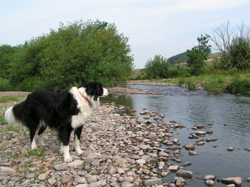 Bailey approves of our holiday home from home!