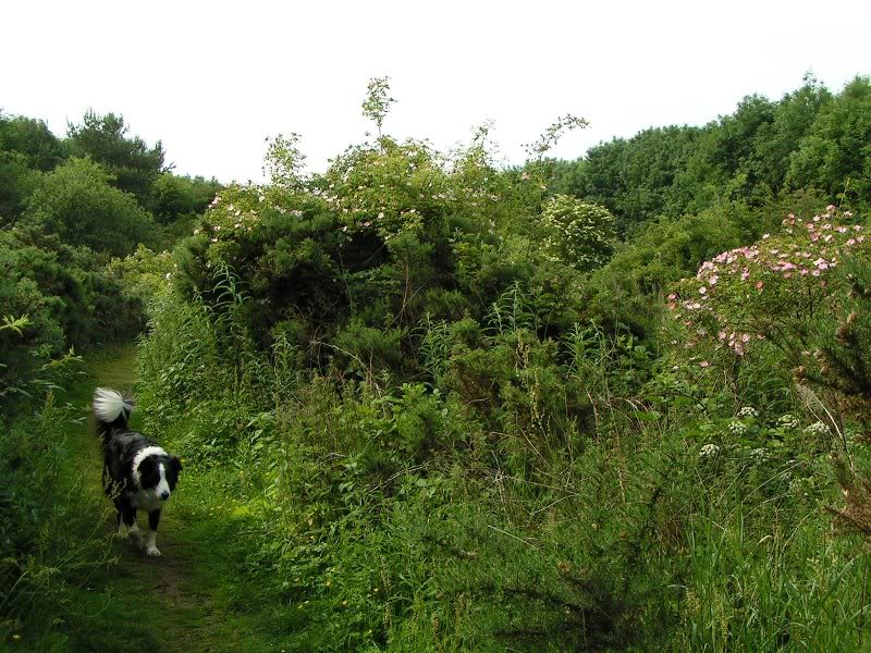 There is a nature trail to follow once we leave the riv...
