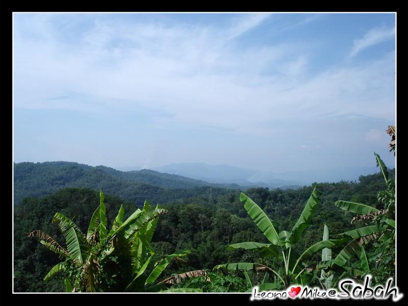 �����s��