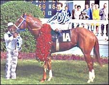 kentucky Eddie&Secretari at