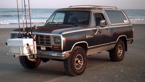 on the beach in Assateague