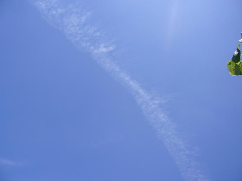 �����W���@ "��" ��