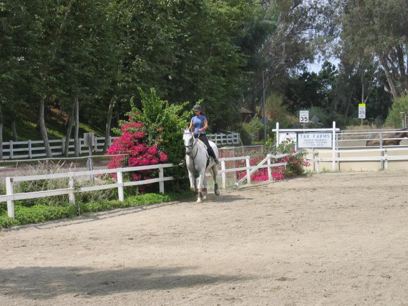 looking nervous about cantering