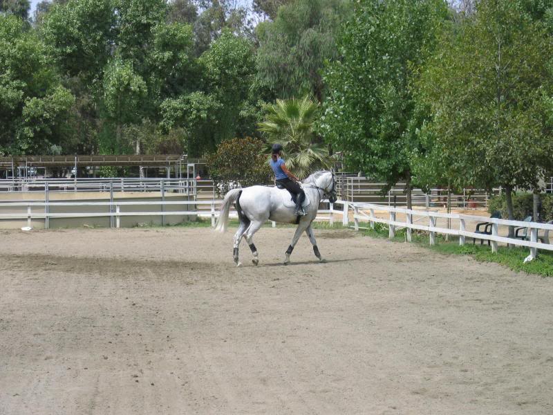 making a lumpy 20 meter circle