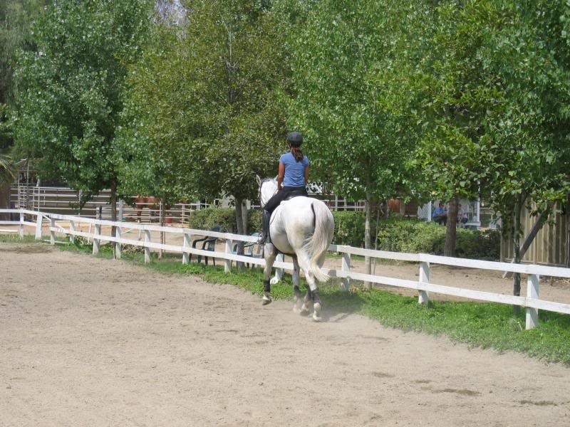 trotting down the long side