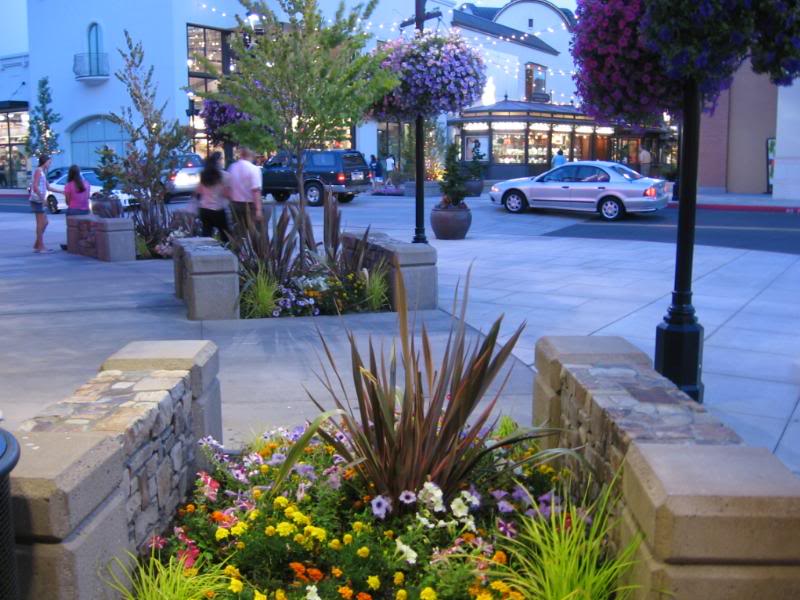 Dinner and a Movie 041