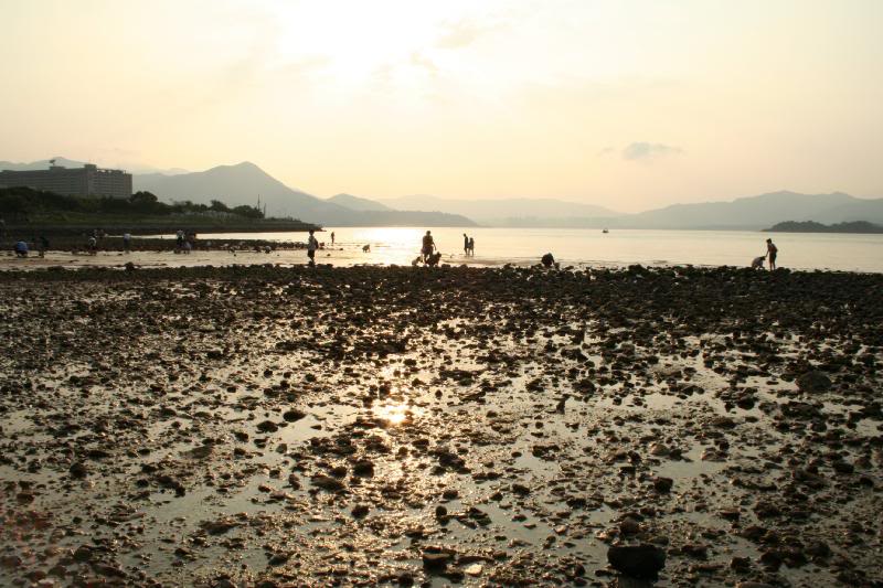 �i���L���n..... ..........