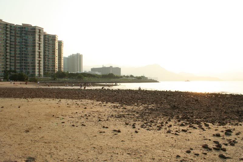 �n�������y