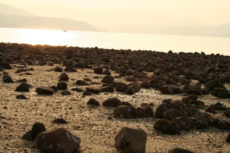 ���Y�O......