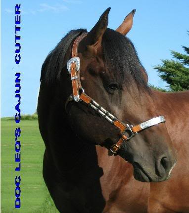 Kirby Turned Head Sideways Larger