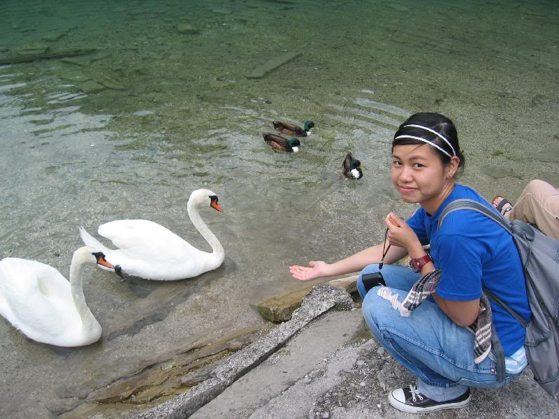 ���s -IMG_0303