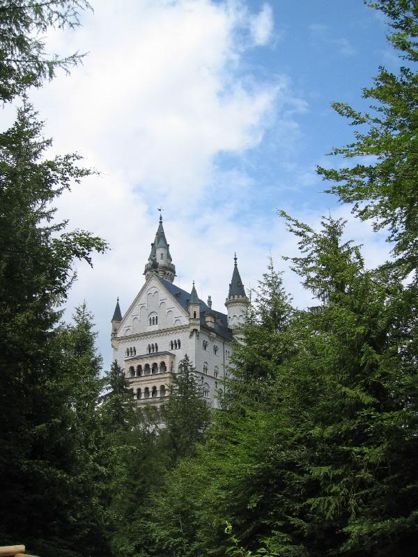 ���s -IMG_0310