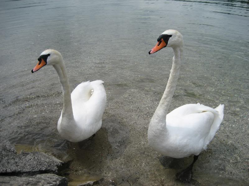 ���s -IMG_0425