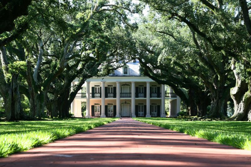 Low Profile Perspective