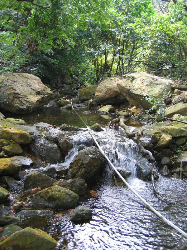 �J�����N�_�|