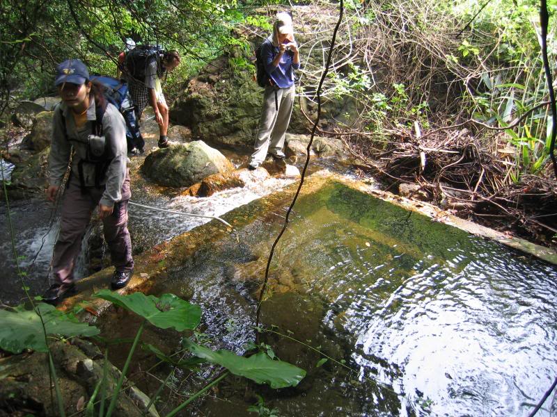 �M���x����