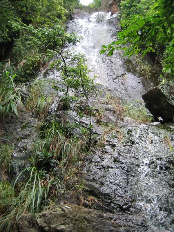 �N�y�V���@�h