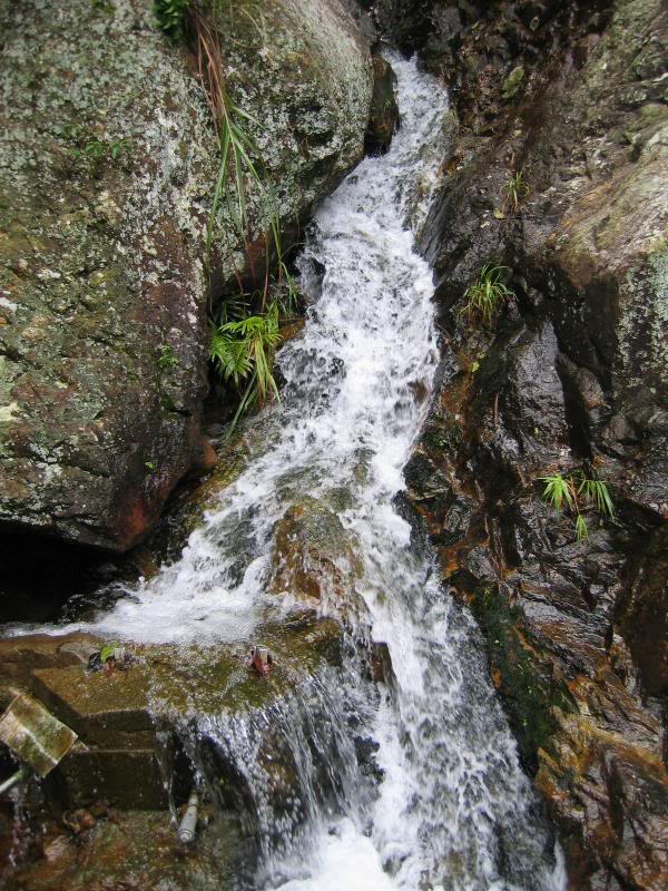 �V���p�r��