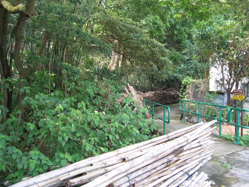 �n���s�����`�J� �