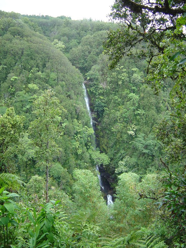 hawaii cruise 5-04 039