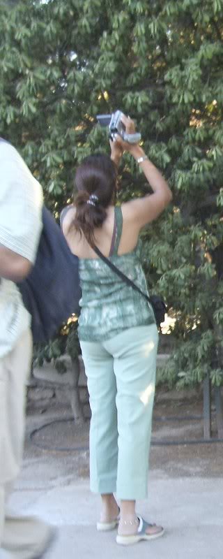 Tourist Taking A Picture of Leaves