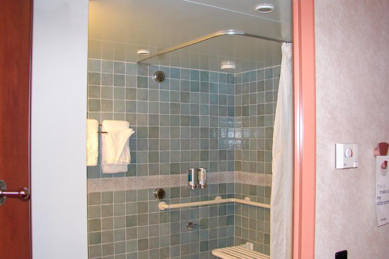 Shower 8239