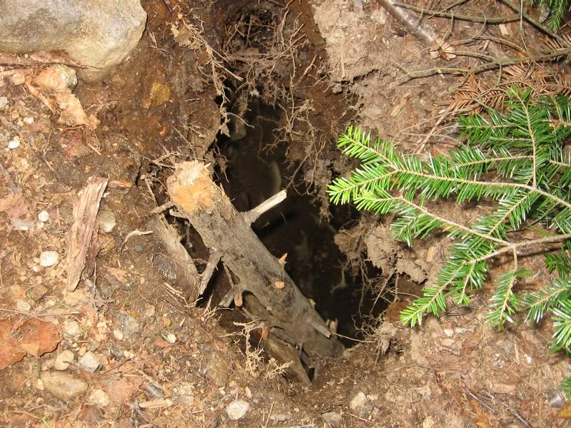 Big freakin' hole in the trail! Yikes!!!