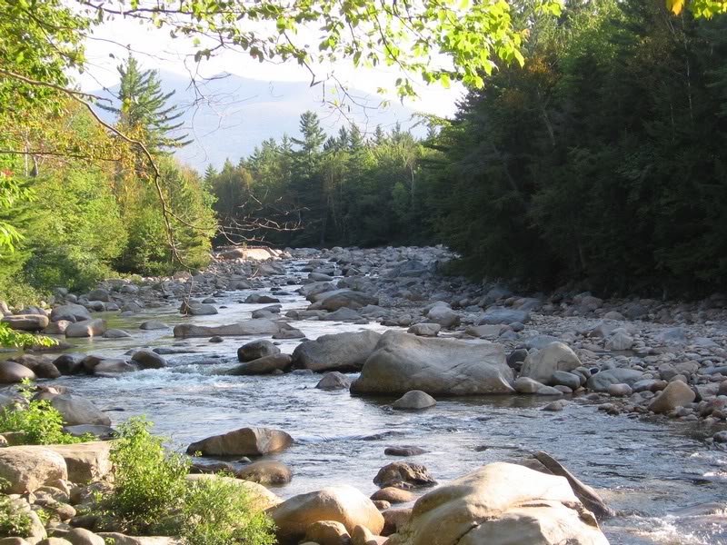 On the Black Pond Spur